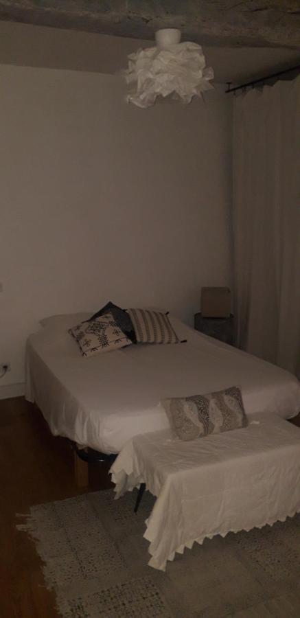 Appartement Cosy Au Coeur Du Centre Historique. Arles Dış mekan fotoğraf
